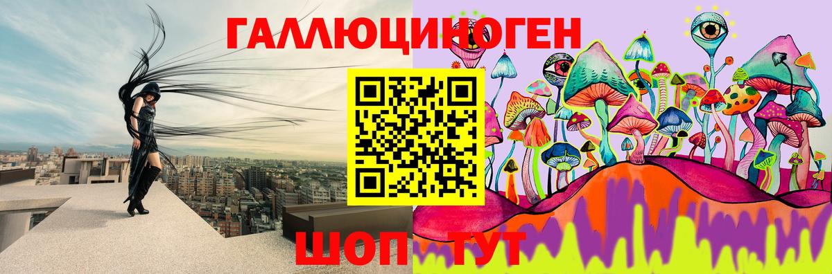 Псилоцибиновые грибы Cubensis Сергиев Посад